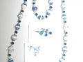pws-5